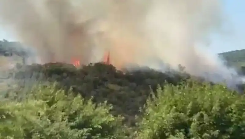 İstanbul'da Patlak Veren Orman Yangını: Acil Tahliye Kararı Alındı