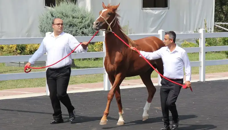 Taşkın Kral: Rekorları Altüst Eden Yenilikçi Su Yönetimi Çözümleri