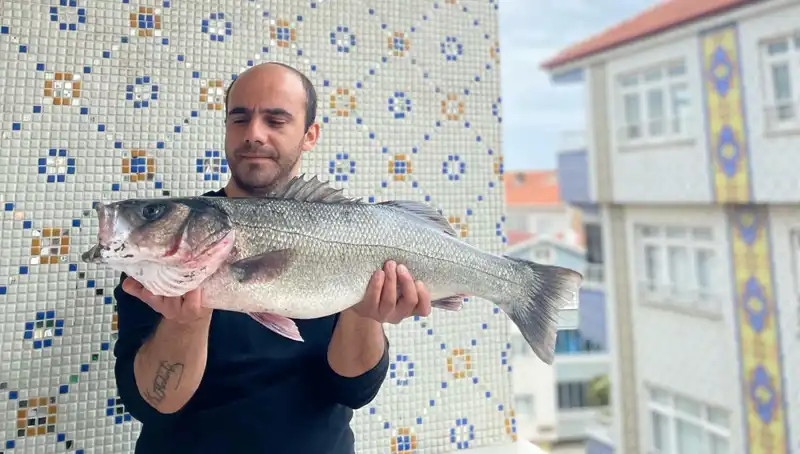 Türkiye'de Rekor Kıran 7,5 Kiloluk Dev Levrek Avlandı!